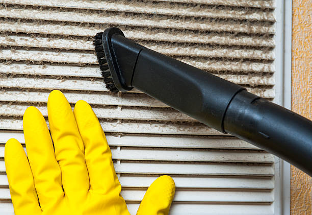 Best Affordable Duct Cleaning Services  in Tri Lakes, IN